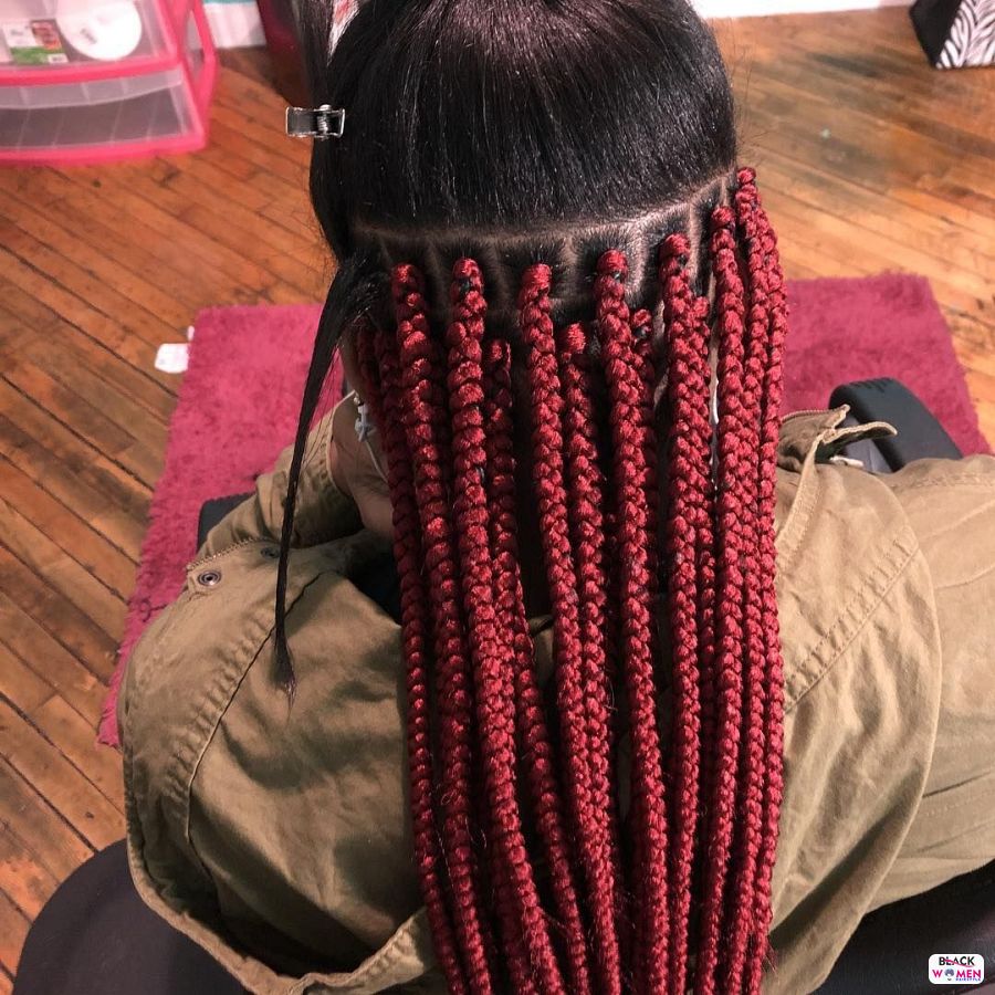 Box Braids hairstyleforblackwomen.net 2231