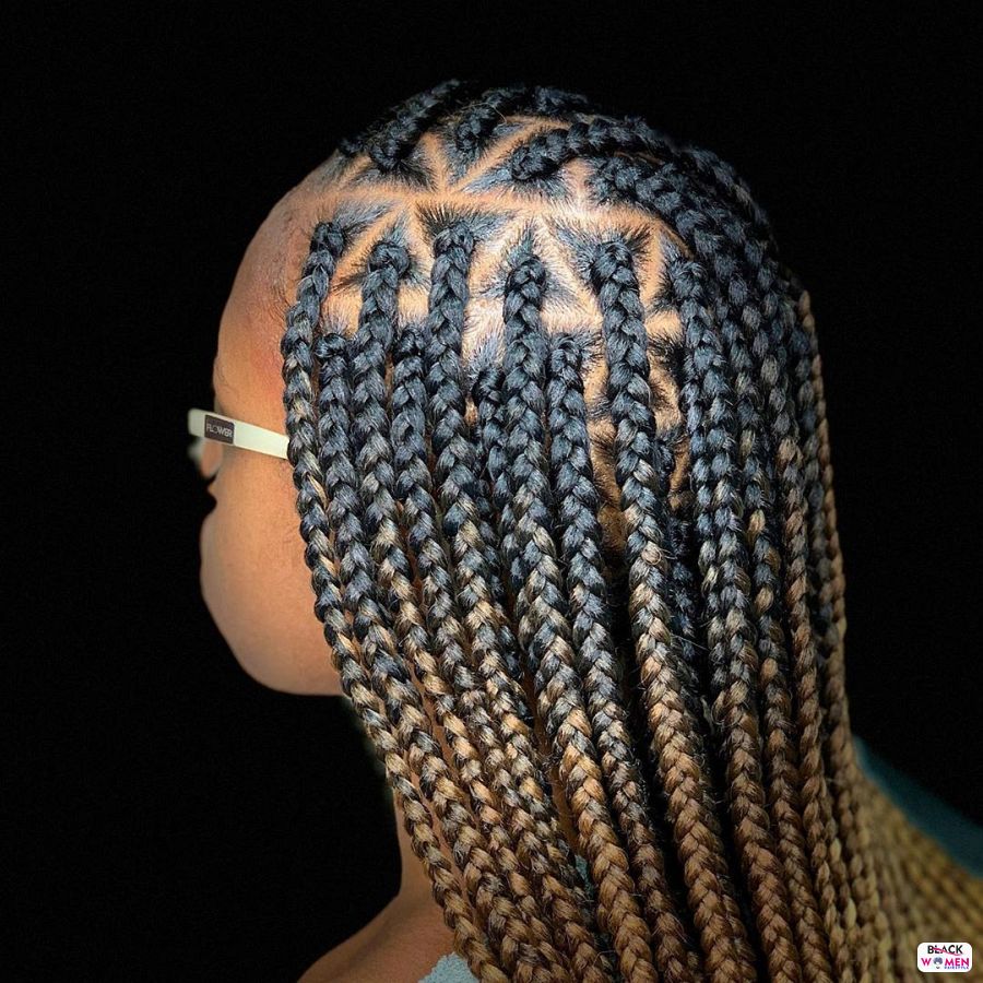 Box Braids hairstyleforblackwomen.net 2290