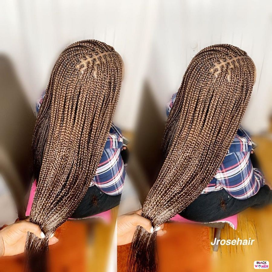 Box Braids hairstyleforblackwomen.net 2479