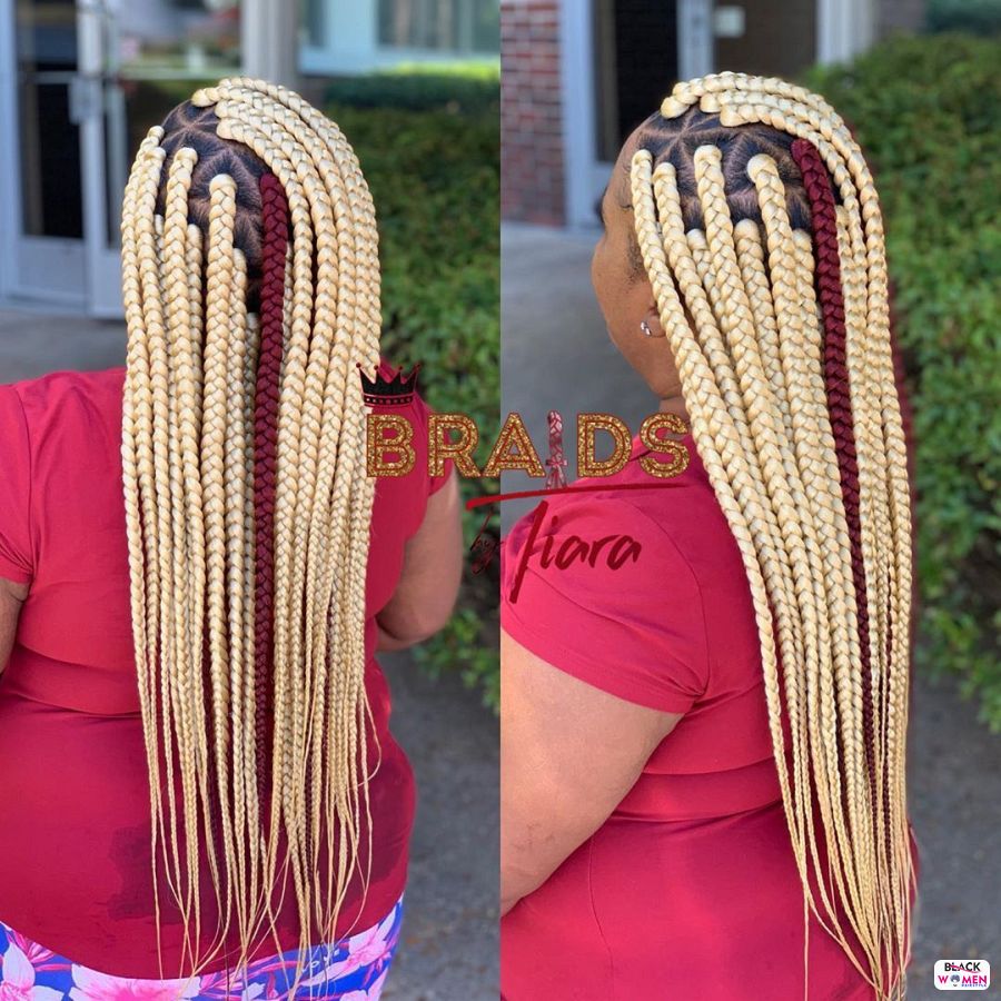 Box Braids hairstyleforblackwomen.net 2758