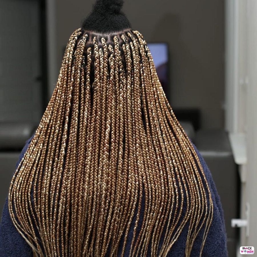 Box Braids hairstyleforblackwomen.net 6310