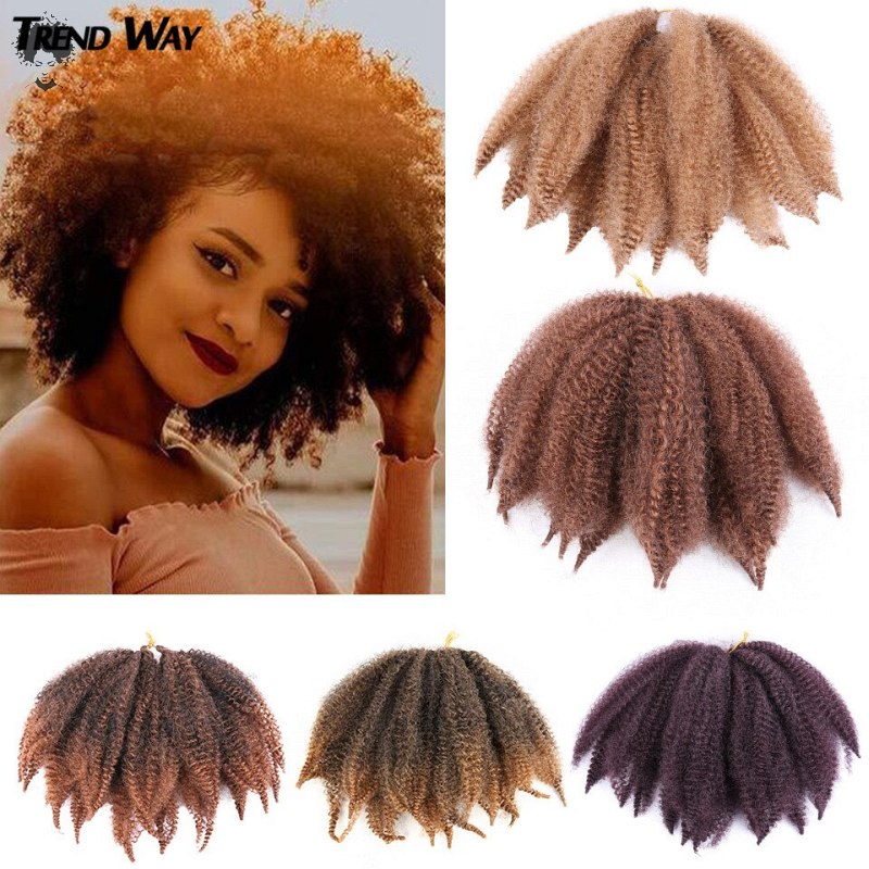 Amazing Crochet Hair Braids for American African Women022