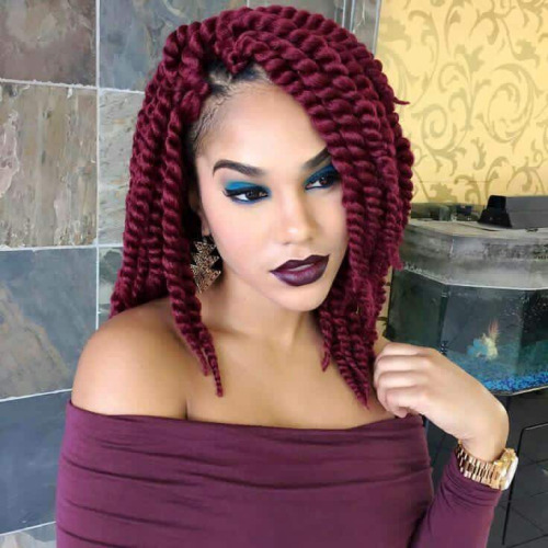 Crochet Twists Braids