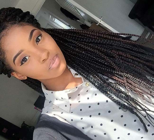 Awesome Box Braids Hairstyles: Long Box Braids