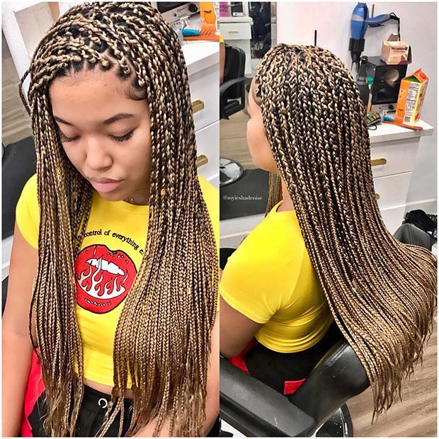 blonde fulani box braids styles 8