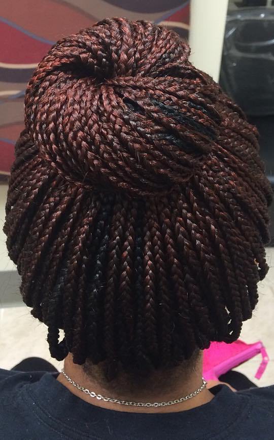 Box Braids Bun Updo