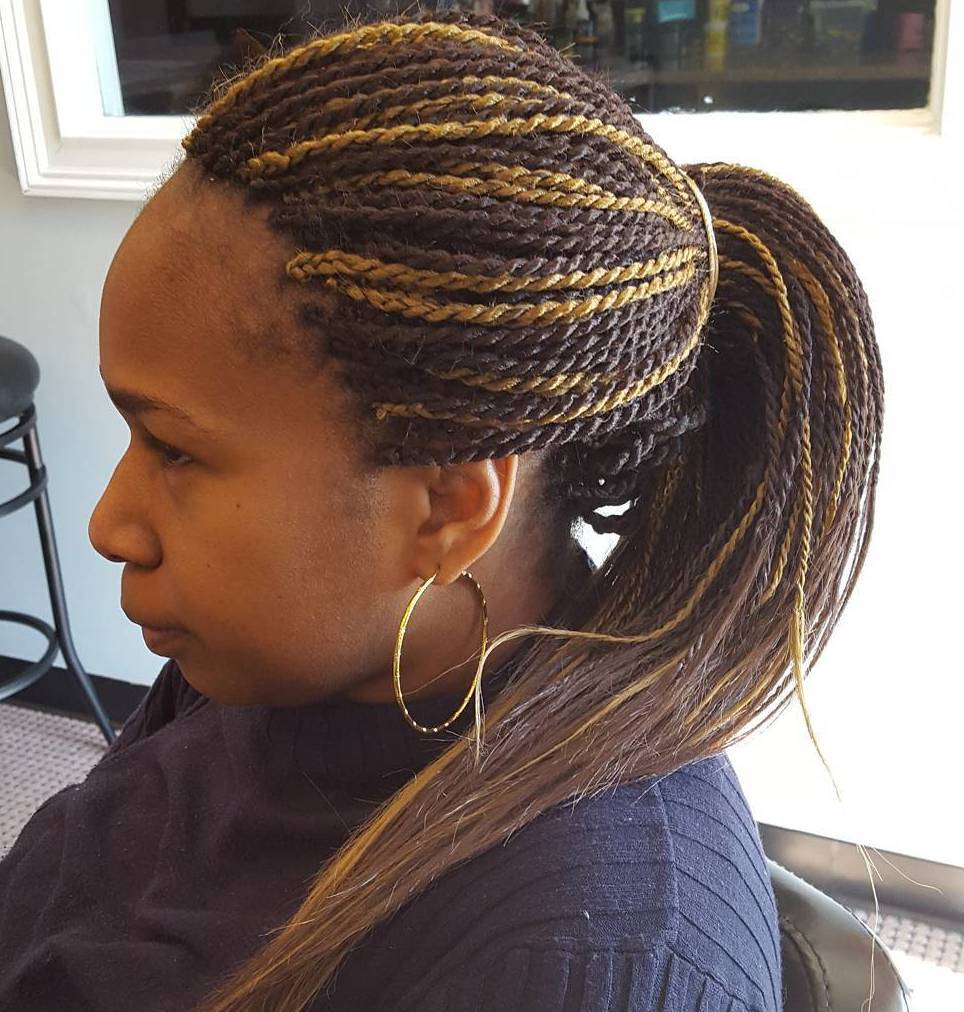 Brown Micro Twists In A Ponytail