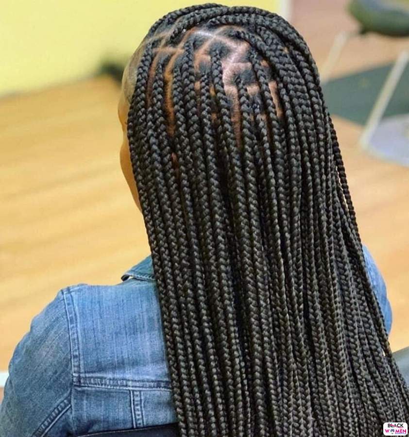 Braids hairstyles 007