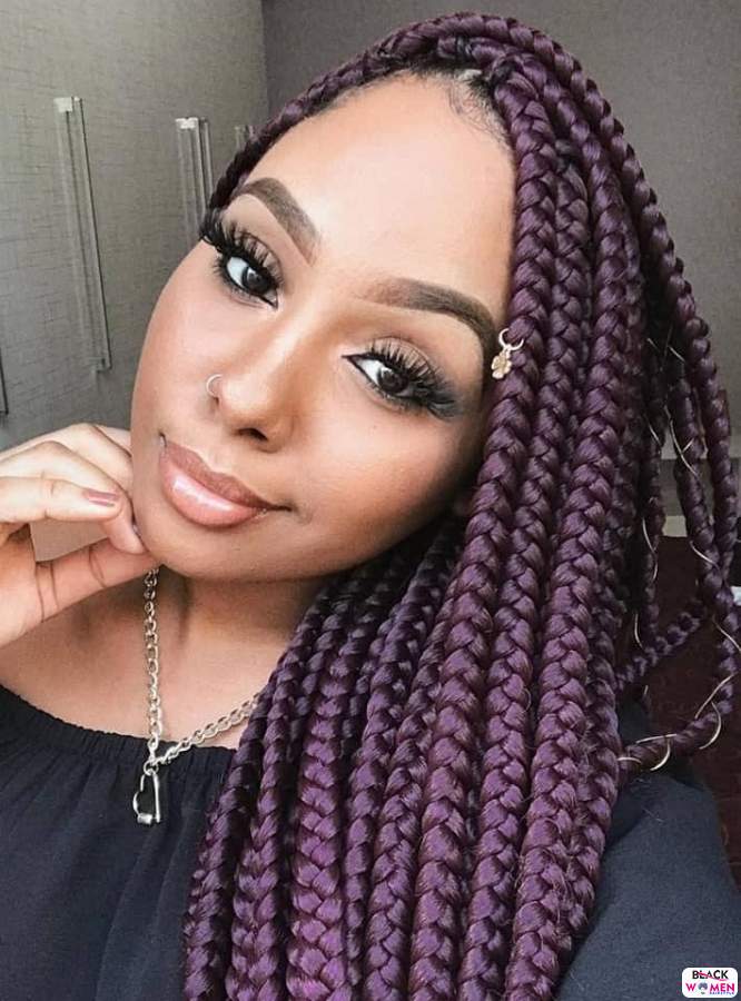 Braids hairstyles 008