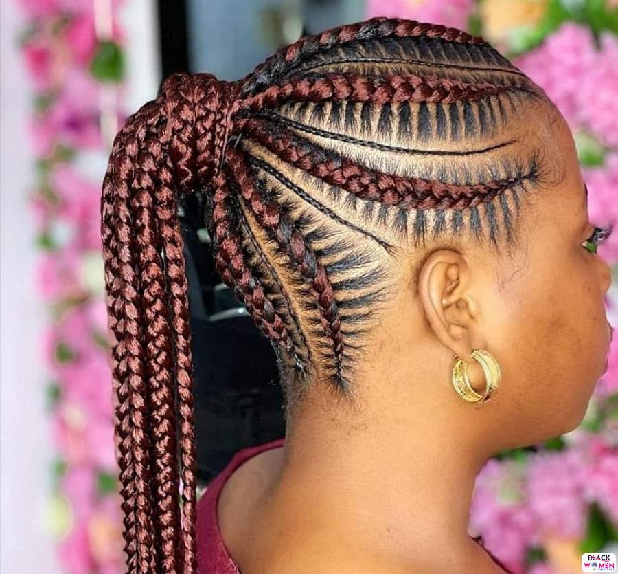 Braids hairstyles 012