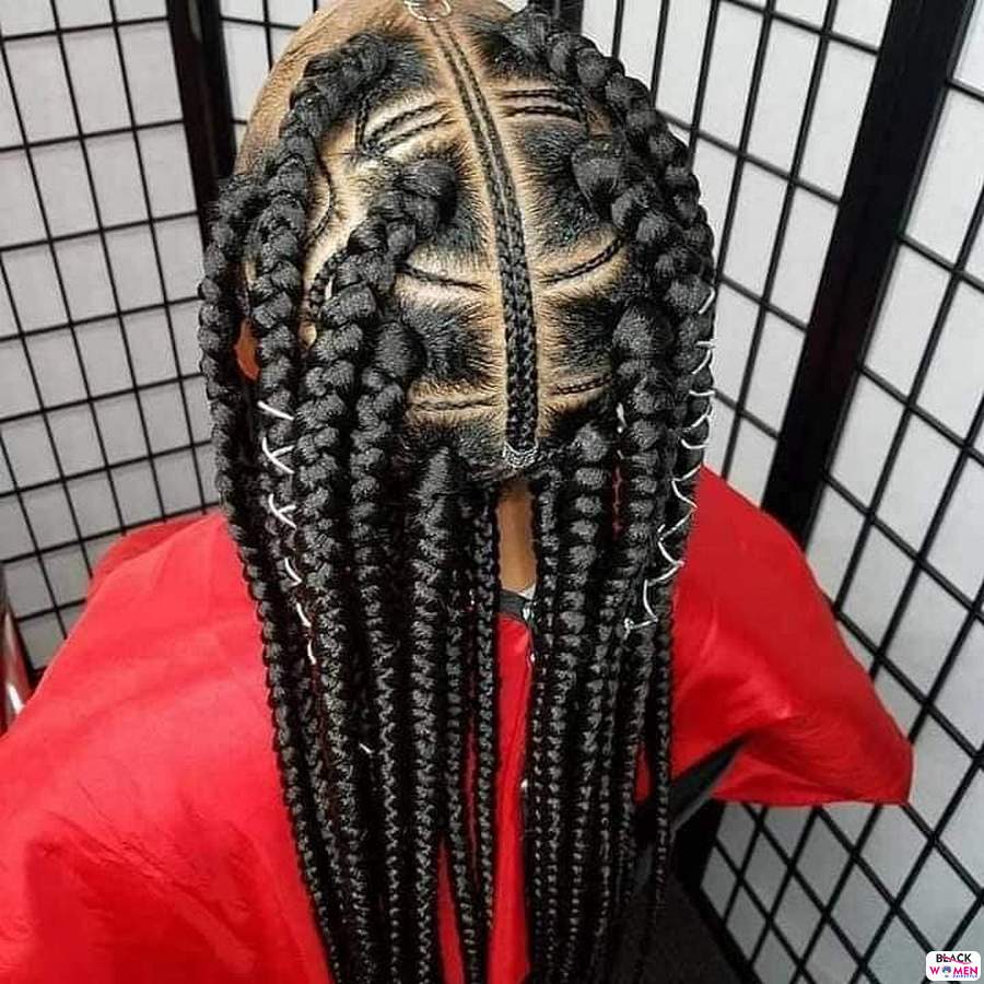 Braids hairstyles 014