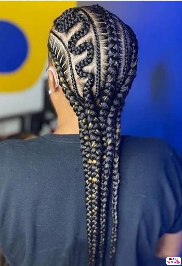 Braids hairstyles 016