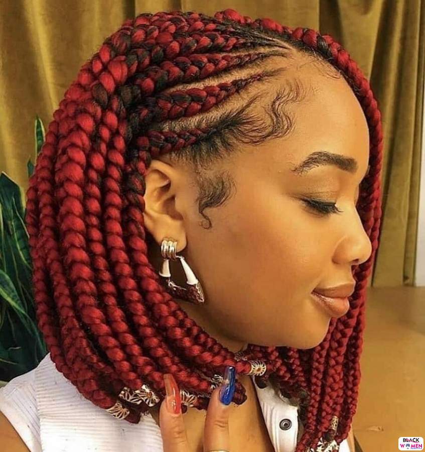 Braids hairstyles 020