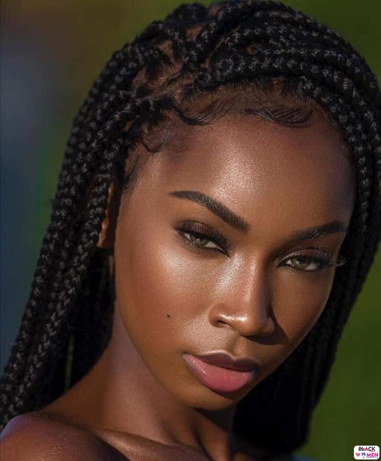 Braids hairstyles 022