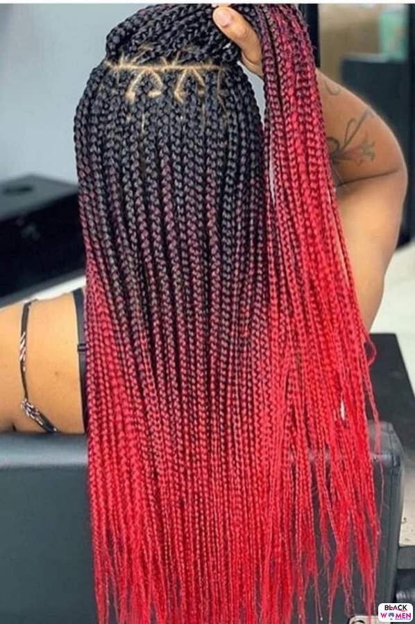 Braids hairstyles 024