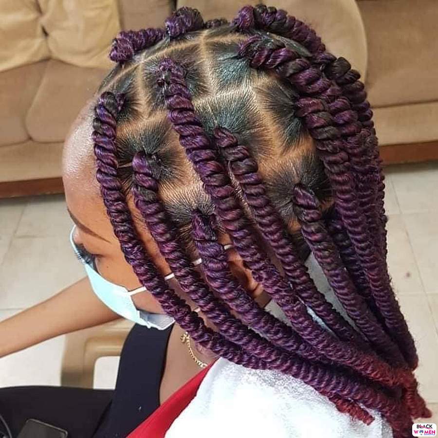 Braids hairstyles 025