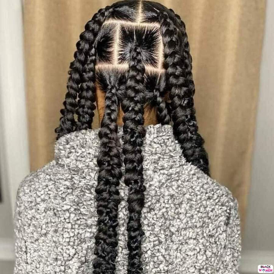 Braids hairstyles 026