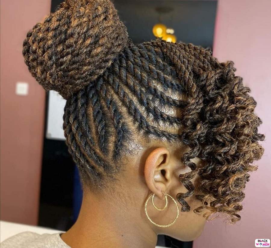 Braids hairstyles 028