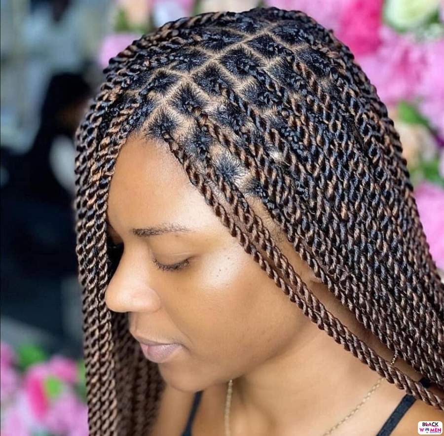 Braids hairstyles 029