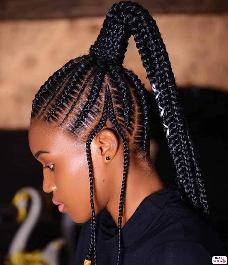 Braids hairstyles 030