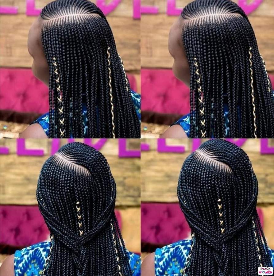 Braids hairstyles 031