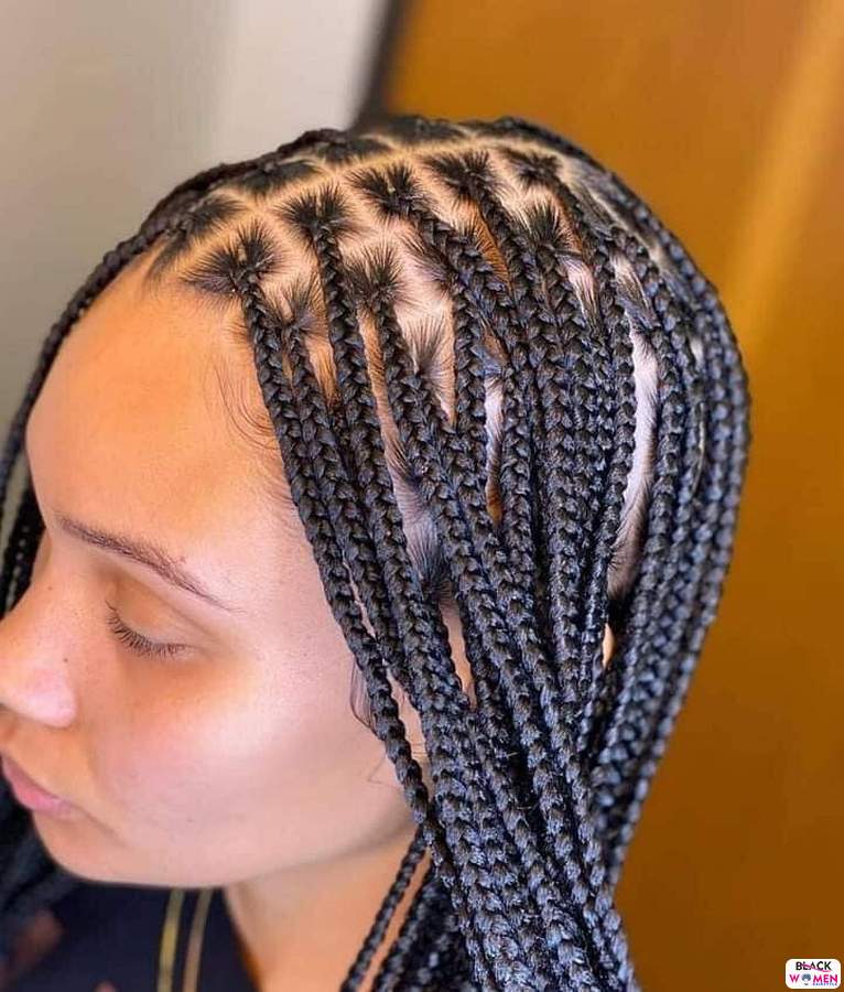 Braids hairstyles 035