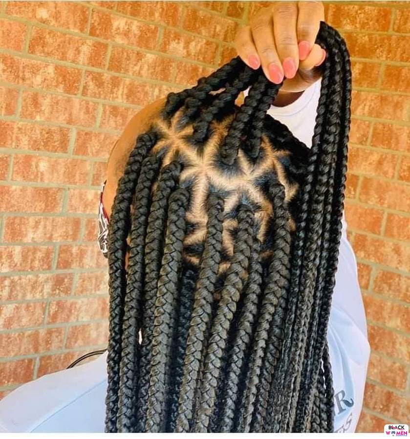 Braids hairstyles 041