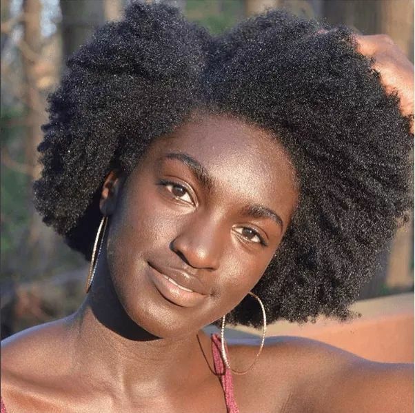 100+ Natural hairstyles for black women in 2019