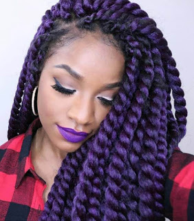 24+ Best Havana Twist Braids Hairstyles 2020 For Black Women