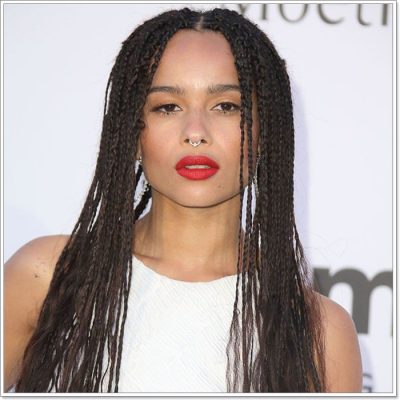 70+ Chic and Trendy Tribal Braids for Your Inner Goddess