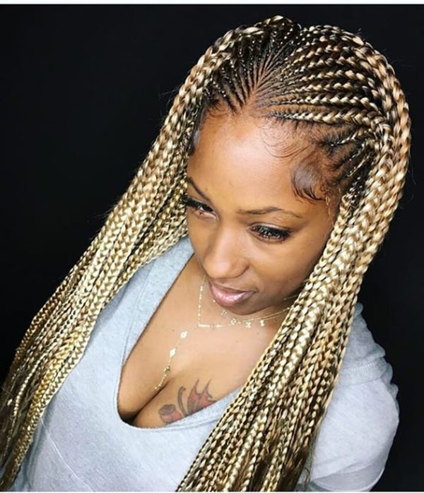 54300618 fulani braids