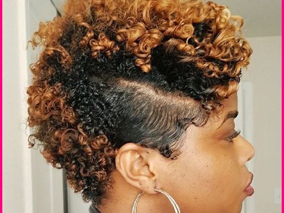 Curly Frohawk