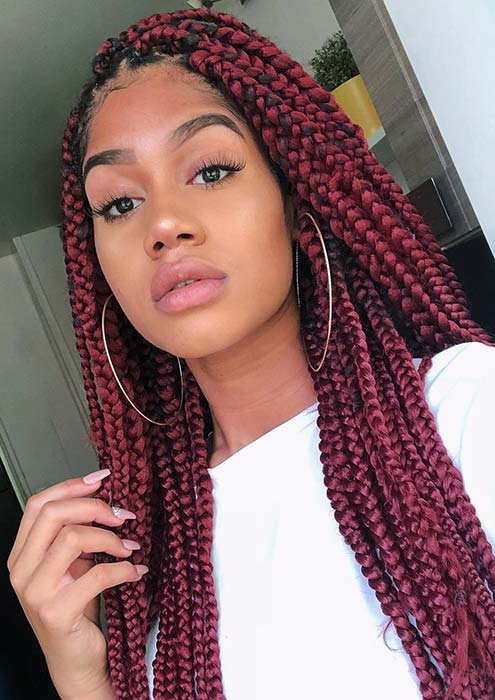 Dark Red Braids