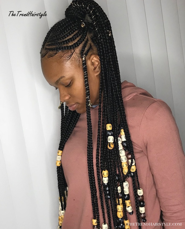 Fulani Braids with a High Ponytail