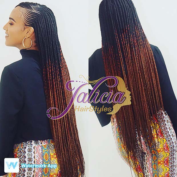 Stylish Ombre Braids