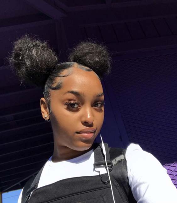 protective hairstyles summer 2019 double buns