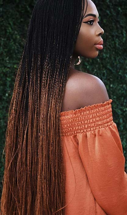 twist braids hairstyles 2