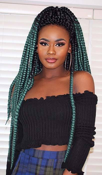 twist braids hairstyles 5