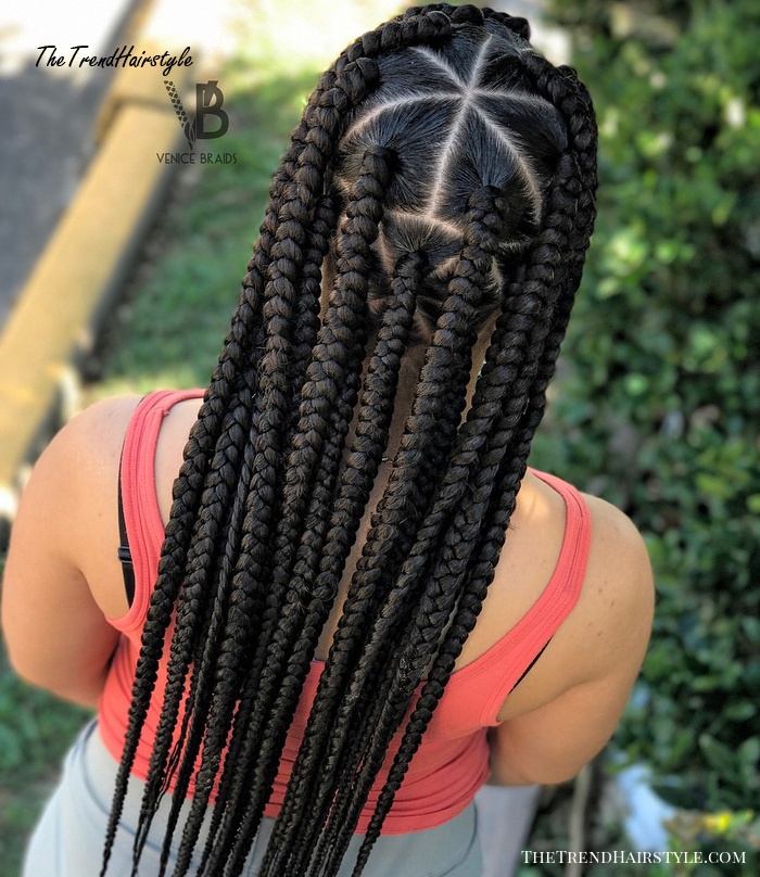Box Braids With Triangle Crown Parting