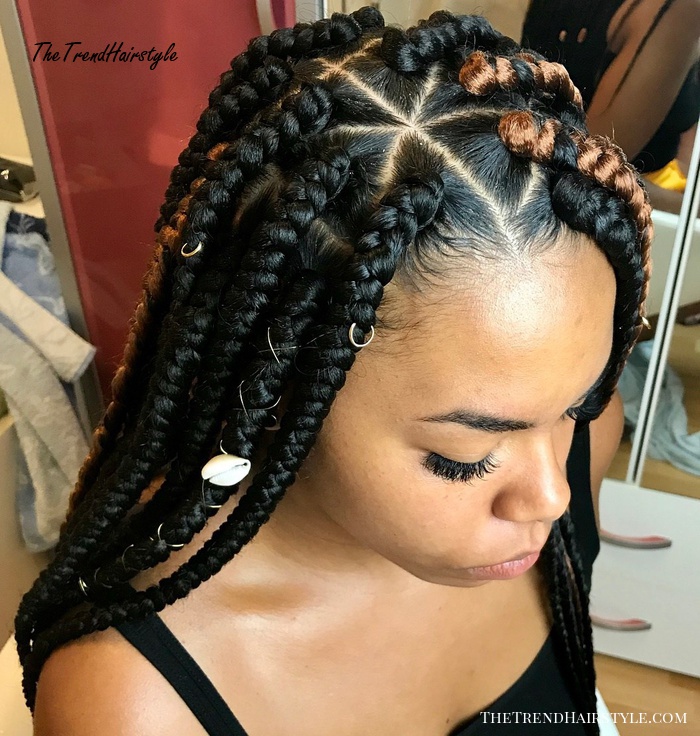 Side Parted Black Box Braids With Caramel Highlights