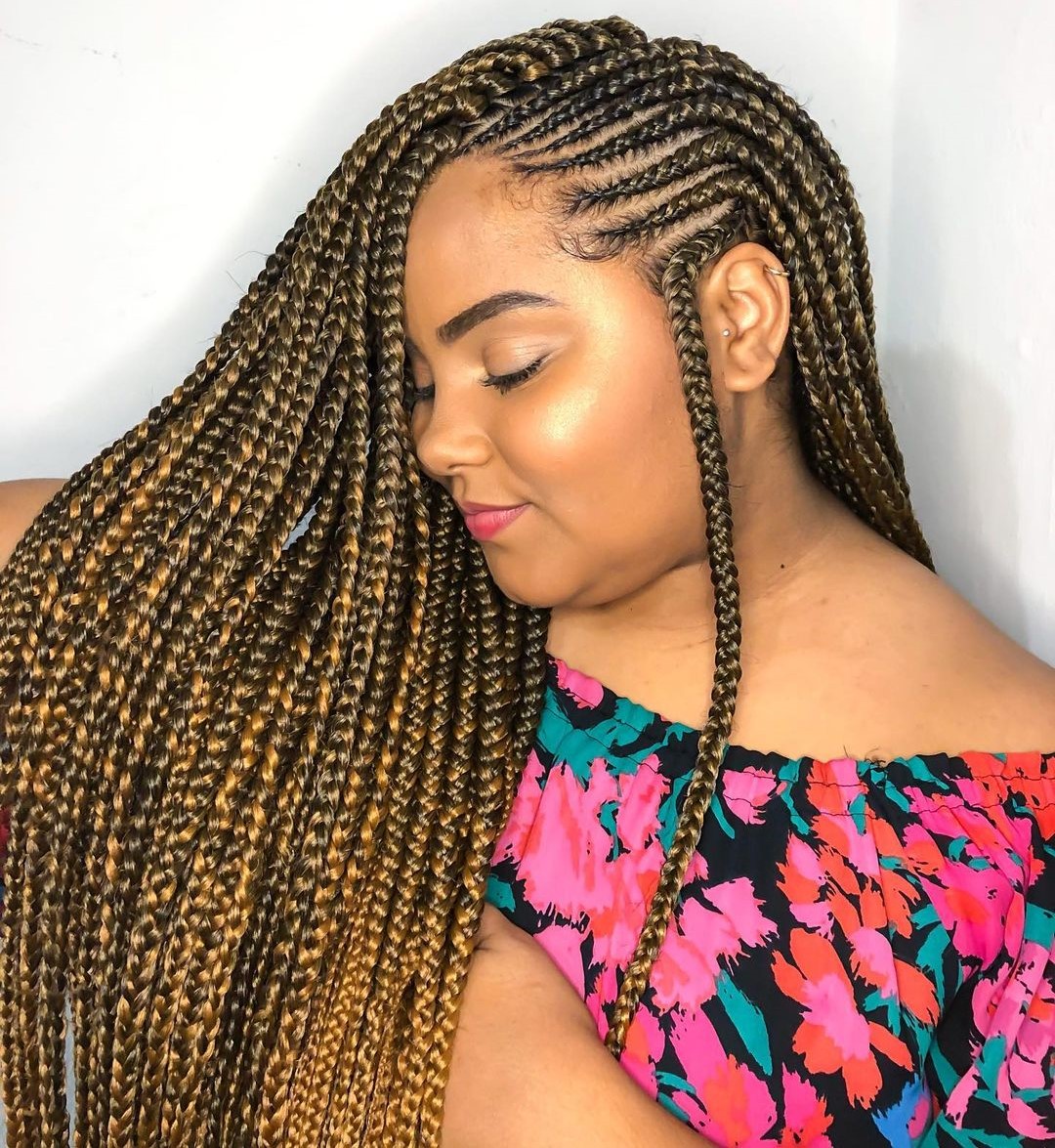 10 ghana braids with highlights CQJloJvLY8q