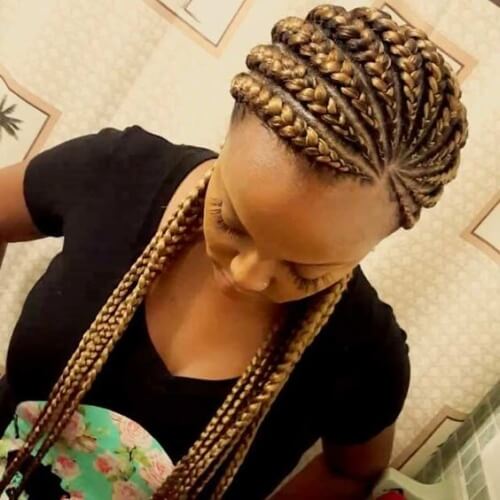 Honey Colored Ghana Braids