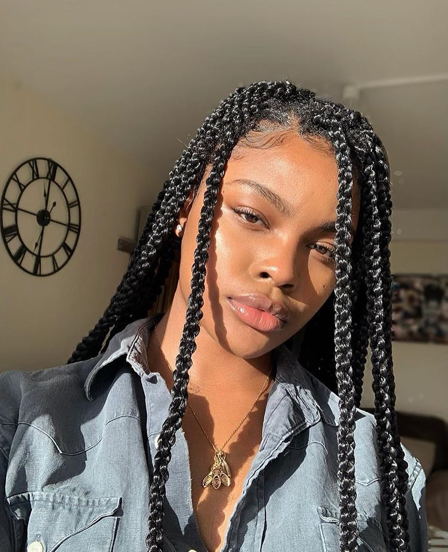 20 Hairstyle Photos from African Braids to Inspire You