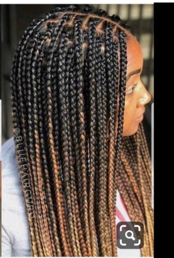 Braids Hairstyles You Would Love To Rock 13 Braids for Black Women hairstyleforblackwomen.net 1189