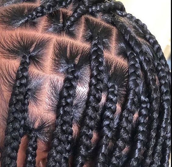 Braid Styles For Natural Hair Growth On All Hair Types For Black Women 3