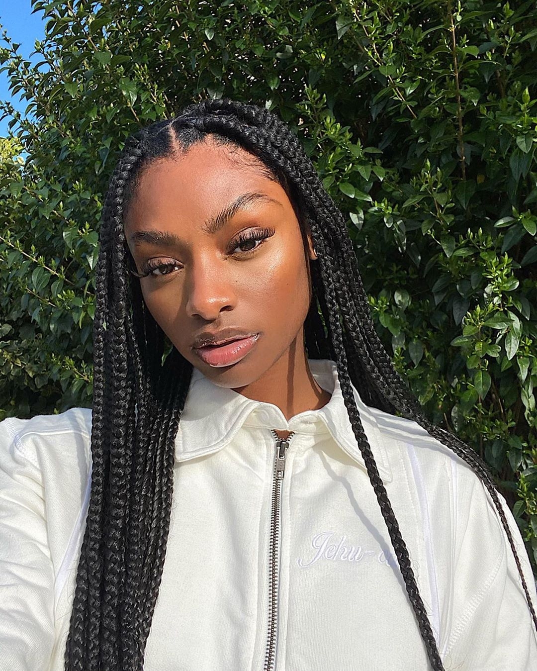 Featured image of post Jumbo Box Braids Styles 2020