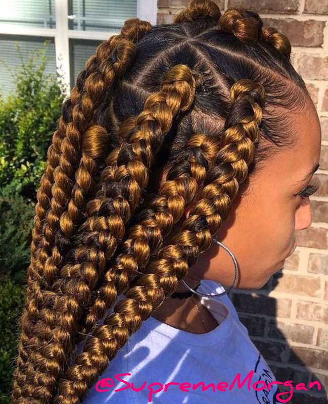 Braided Hairstyles for Little Girls hairstyleforblackwomen.net 165