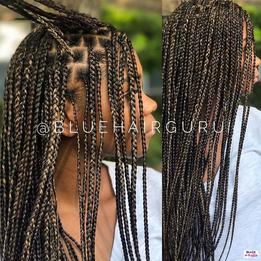 Beautiful Braided Hairstyles 2021 hairstyleforblackwomen.net 3710