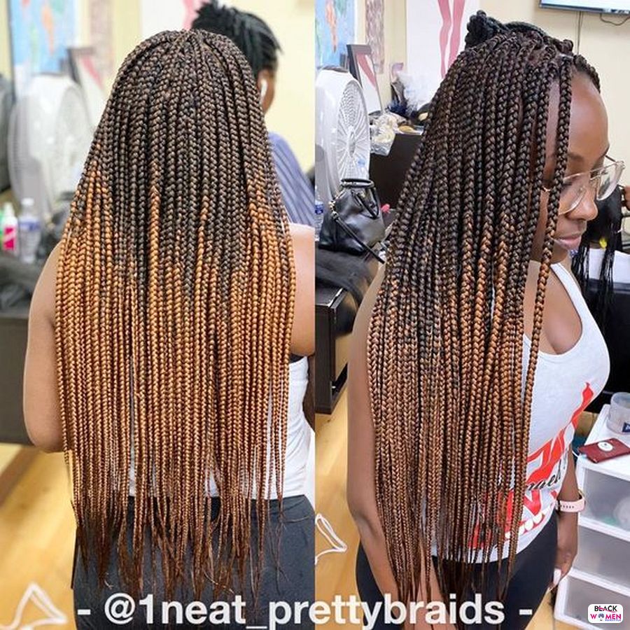 Beautiful Braided Hairstyles 2021 hairstyleforblackwomen.net 3734