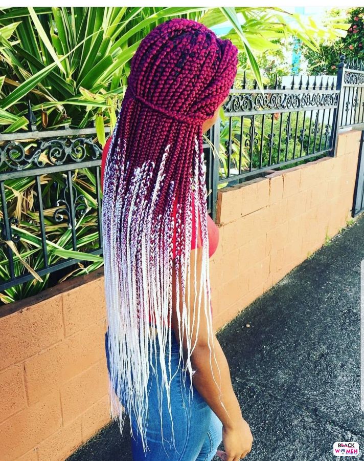 Beautiful Braided Hairstyles 2021 hairstyleforblackwomen.net 7098